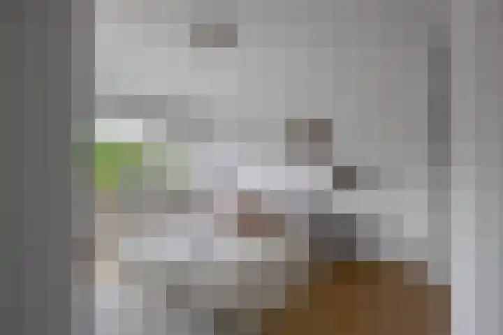 Bosjesweg 15 Sluiskil thumbnail 28