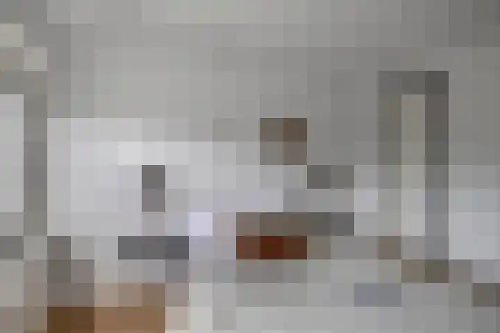 Bosjesweg 15 Sluiskil thumbnail 29