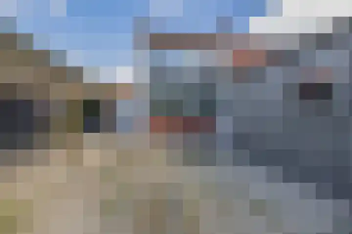 Bosjesweg 15 Sluiskil thumbnail 31