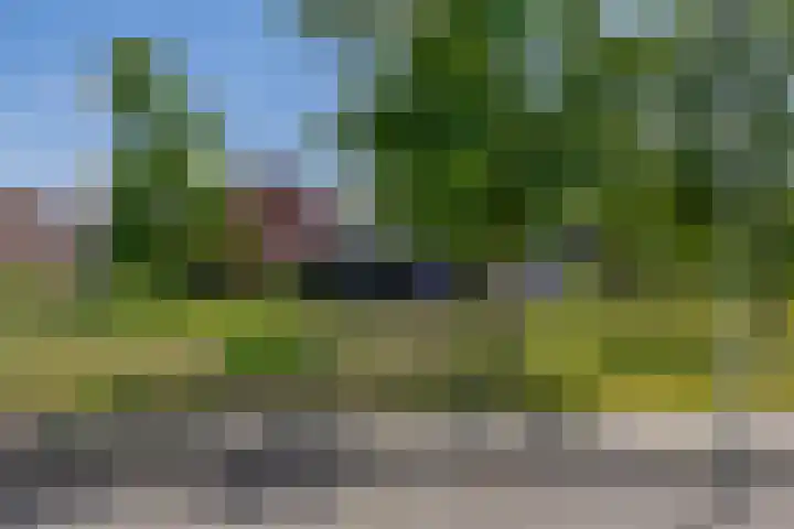 Bosjesweg 15 Sluiskil thumbnail 36