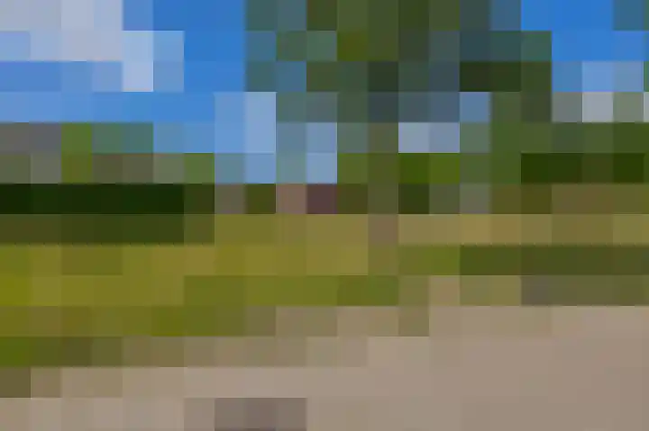 Bosjesweg 15 Sluiskil thumbnail 37