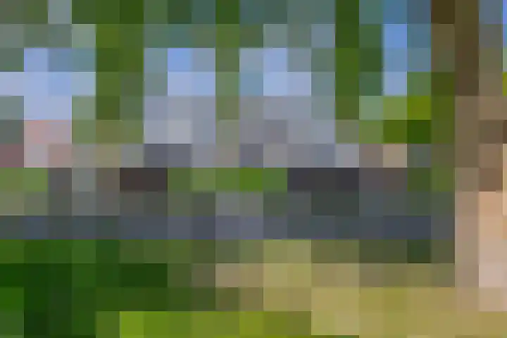 Bosjesweg 15 Sluiskil thumbnail 38
