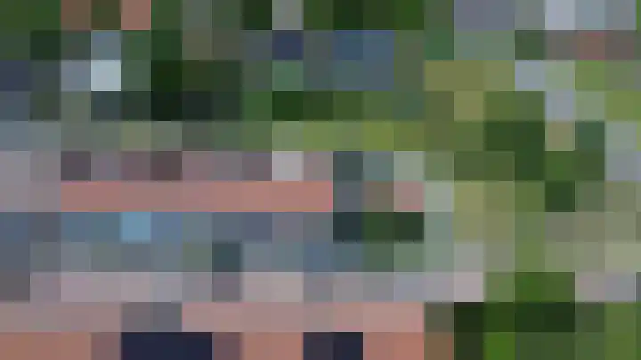 Bosjesweg 15 Sluiskil thumbnail 39
