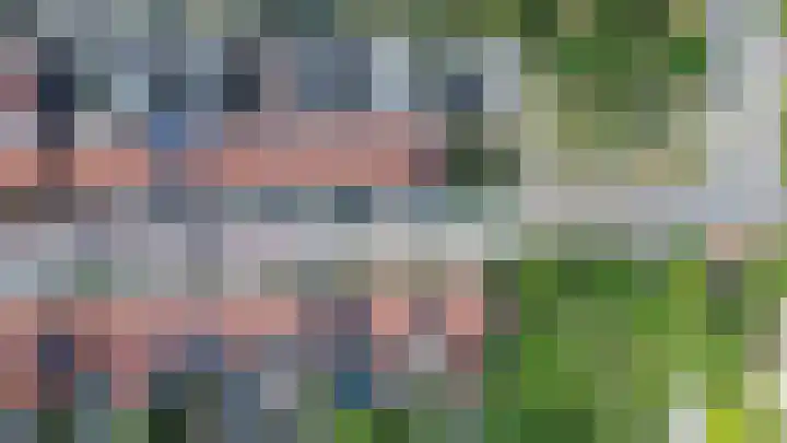Bosjesweg 15 Sluiskil thumbnail 40