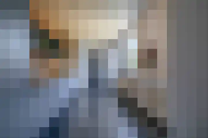 Bosjesweg 15 Sluiskil thumbnail 8