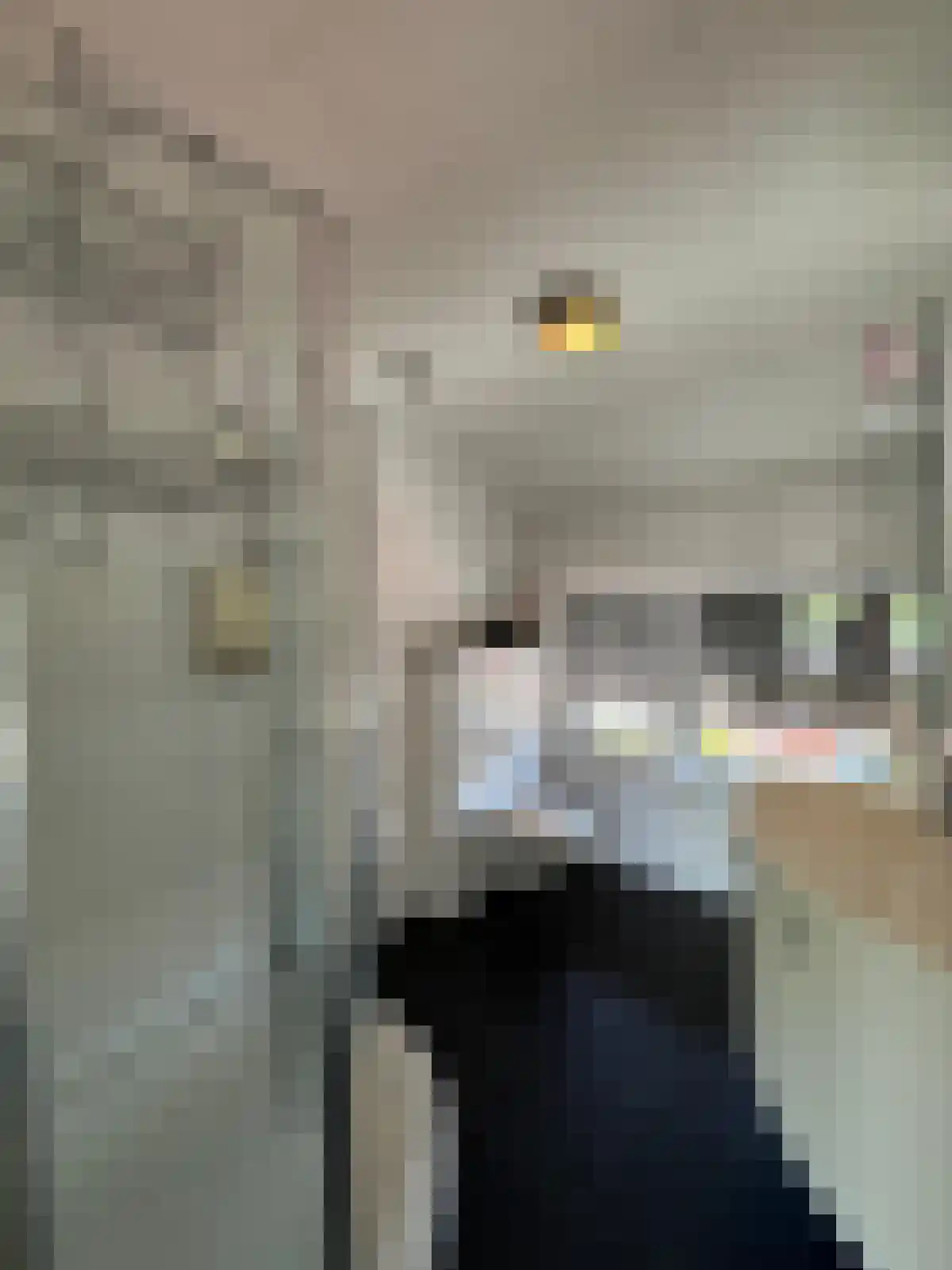 Bosjesweg 17 Sluiskil thumbnail 10