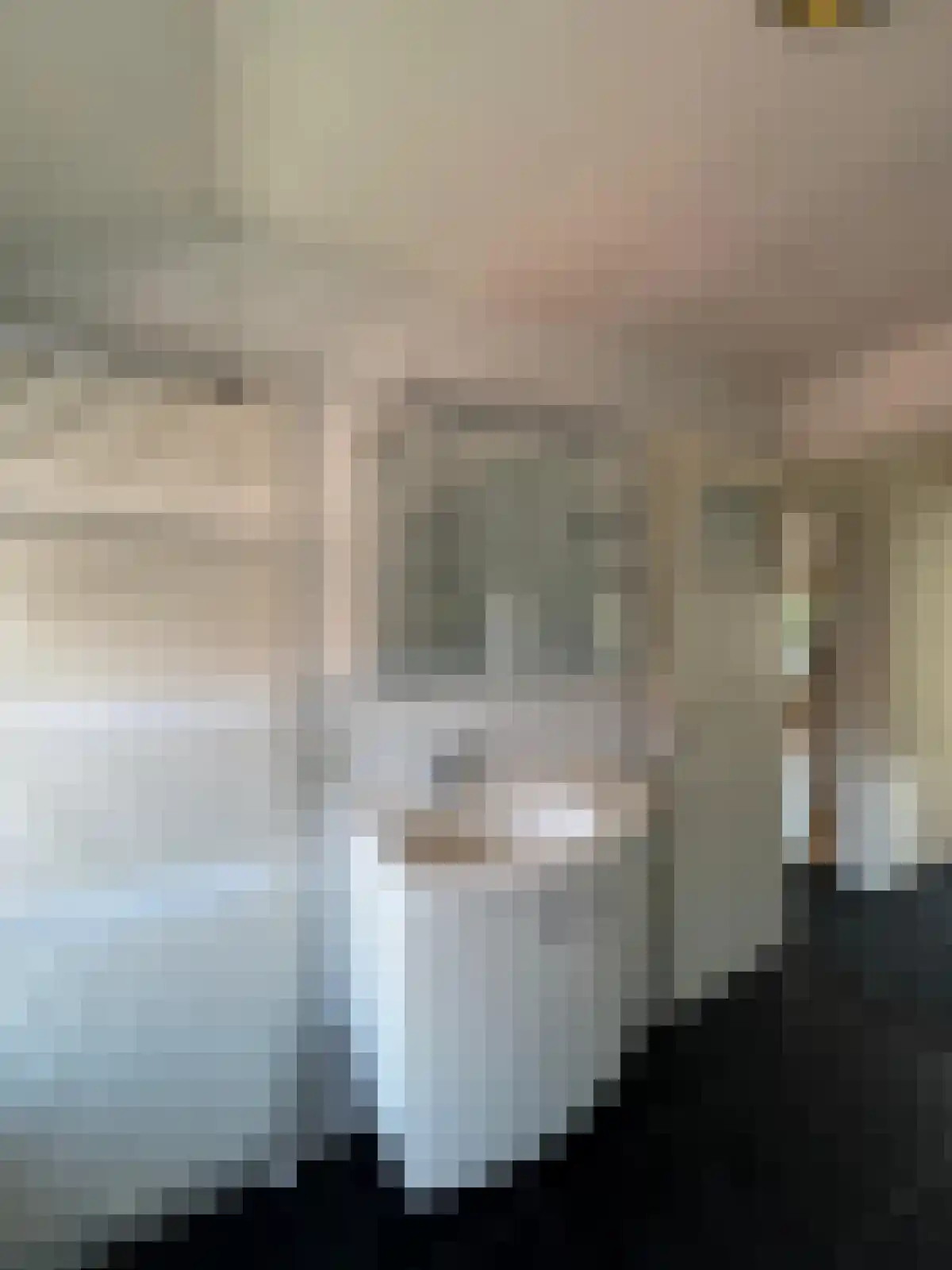 Bosjesweg 17 Sluiskil thumbnail 12