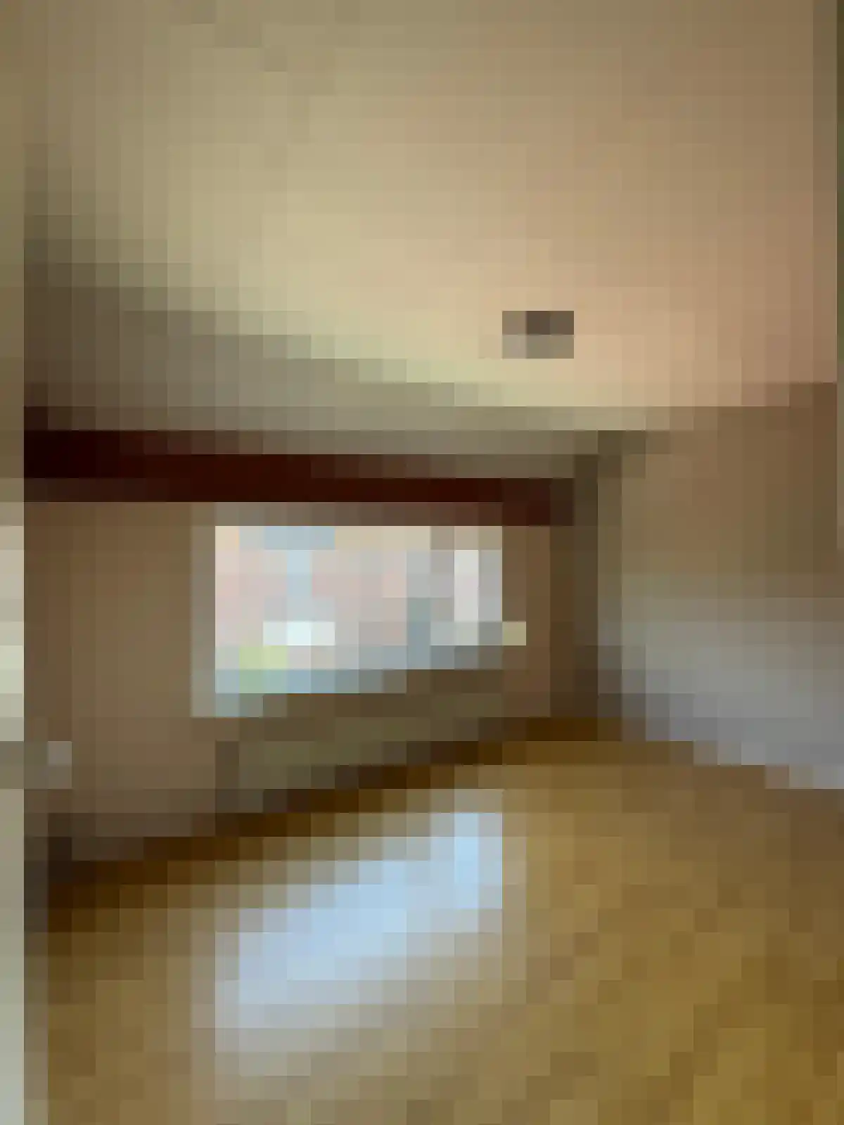 Bosjesweg 17 Sluiskil thumbnail 15