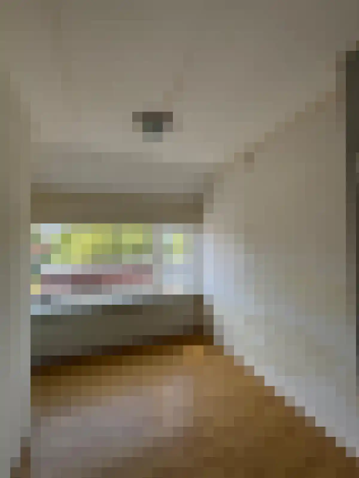 Bosjesweg 17 Sluiskil thumbnail 16