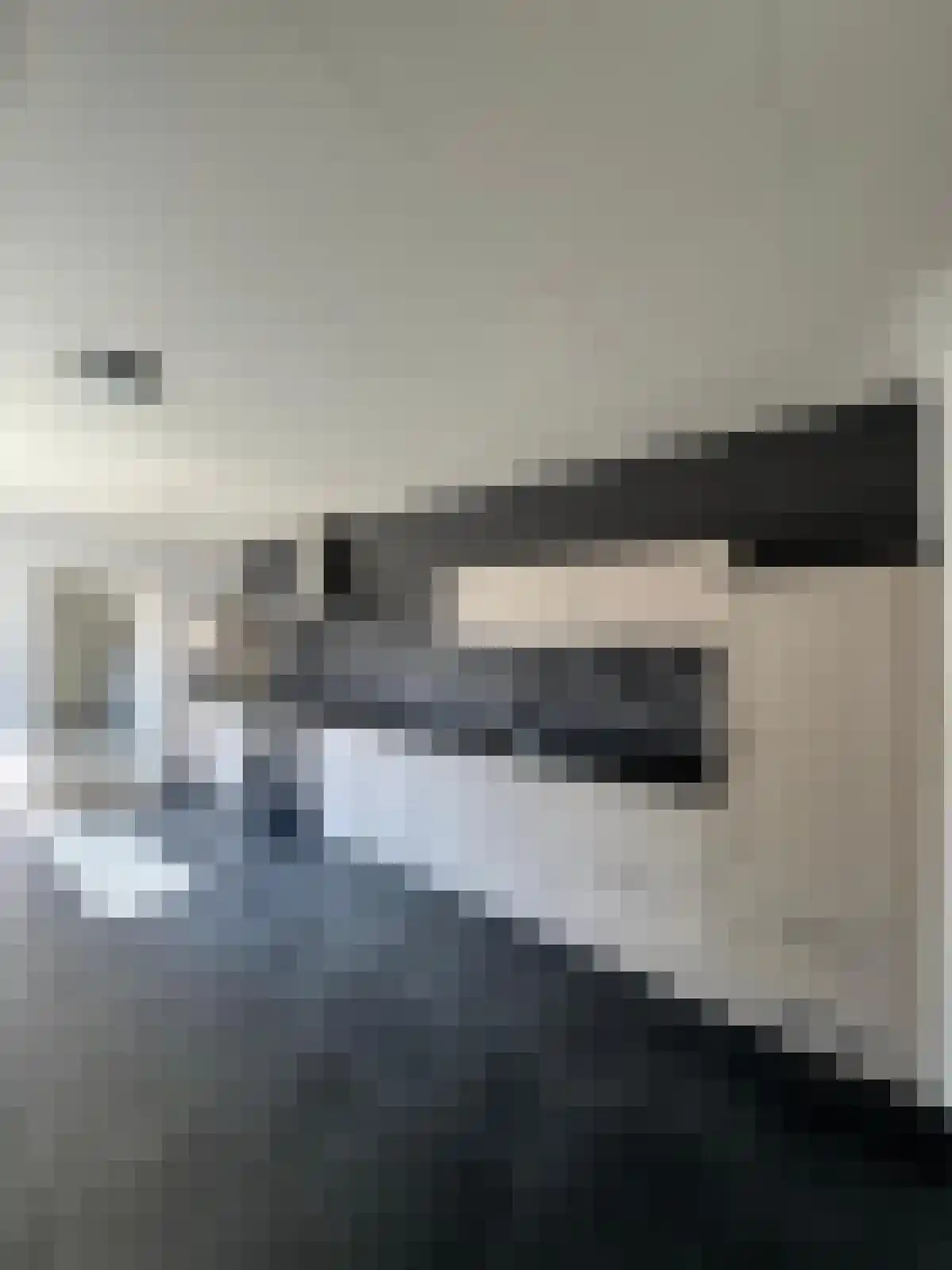 Bosjesweg 17 Sluiskil thumbnail 4