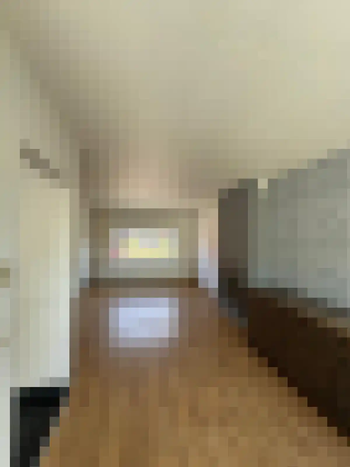 Bosjesweg 17 Sluiskil thumbnail 5