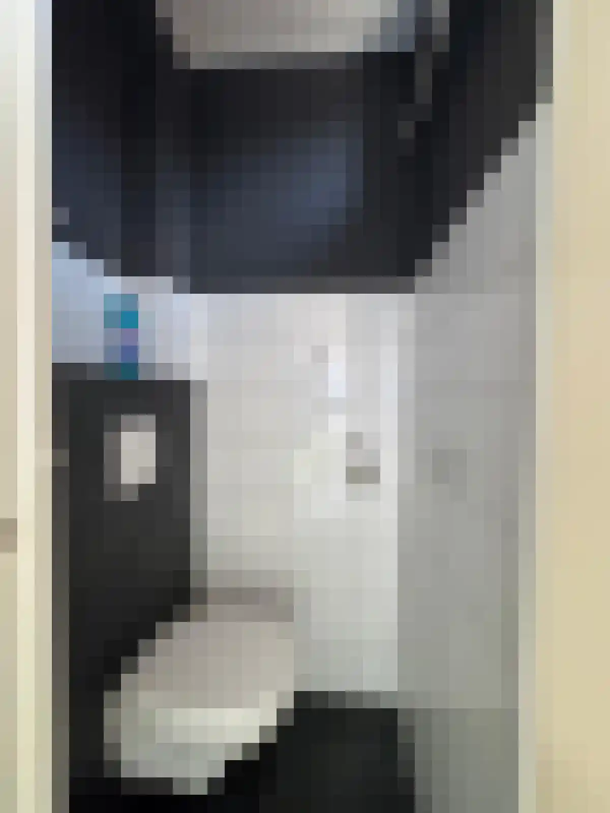 Bosjesweg 17 Sluiskil thumbnail 7