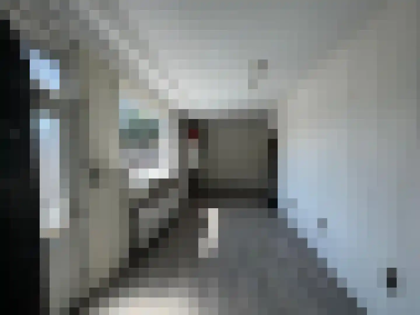 Bosjesweg 17 Sluiskil thumbnail 8