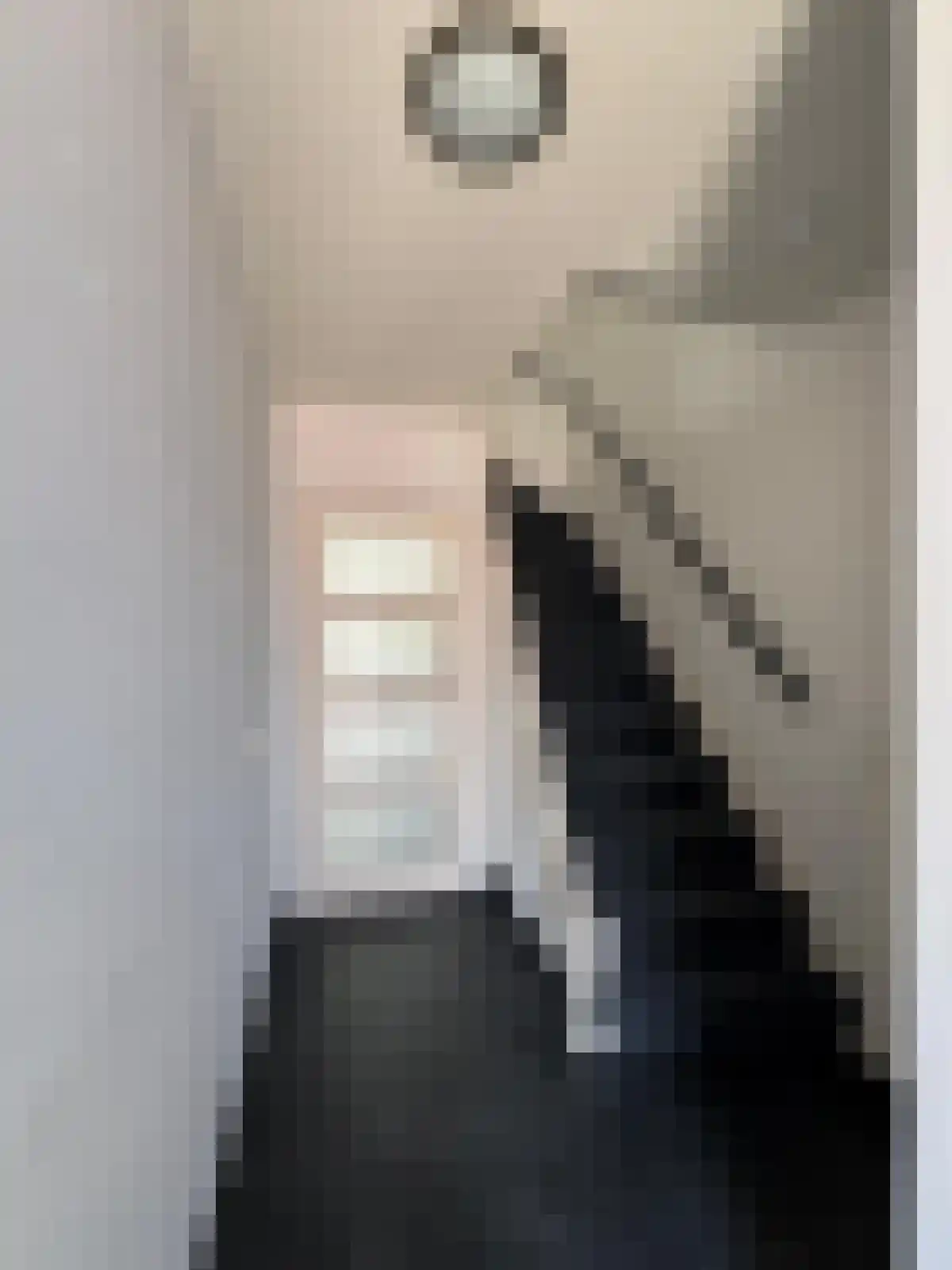 Bosjesweg 17 Sluiskil thumbnail 9