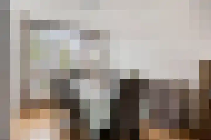 Bosjesweg 23 Sluiskil thumbnail 11