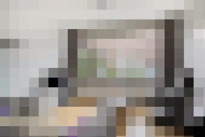 Bosjesweg 23 Sluiskil thumbnail 12
