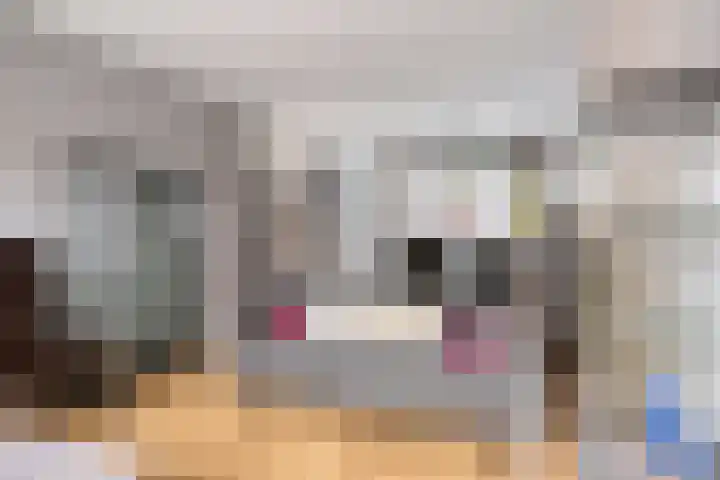 Bosjesweg 23 Sluiskil thumbnail 13