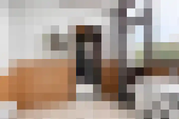 Bosjesweg 23 Sluiskil thumbnail 14