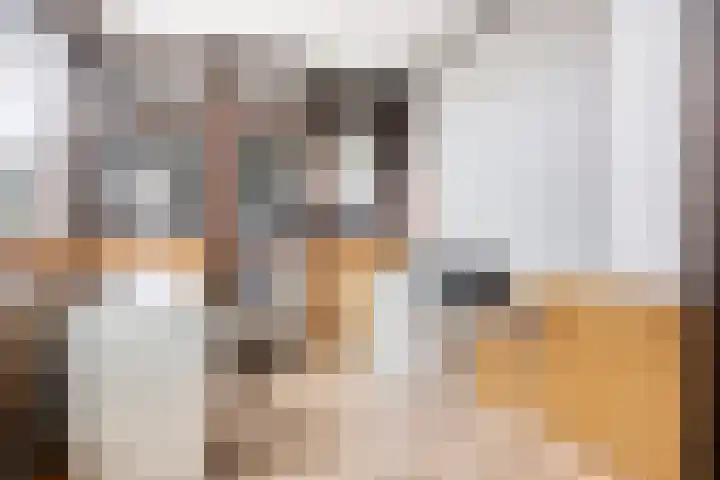 Bosjesweg 23 Sluiskil thumbnail 15