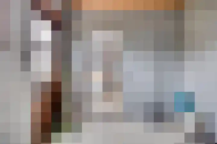 Bosjesweg 23 Sluiskil thumbnail 17