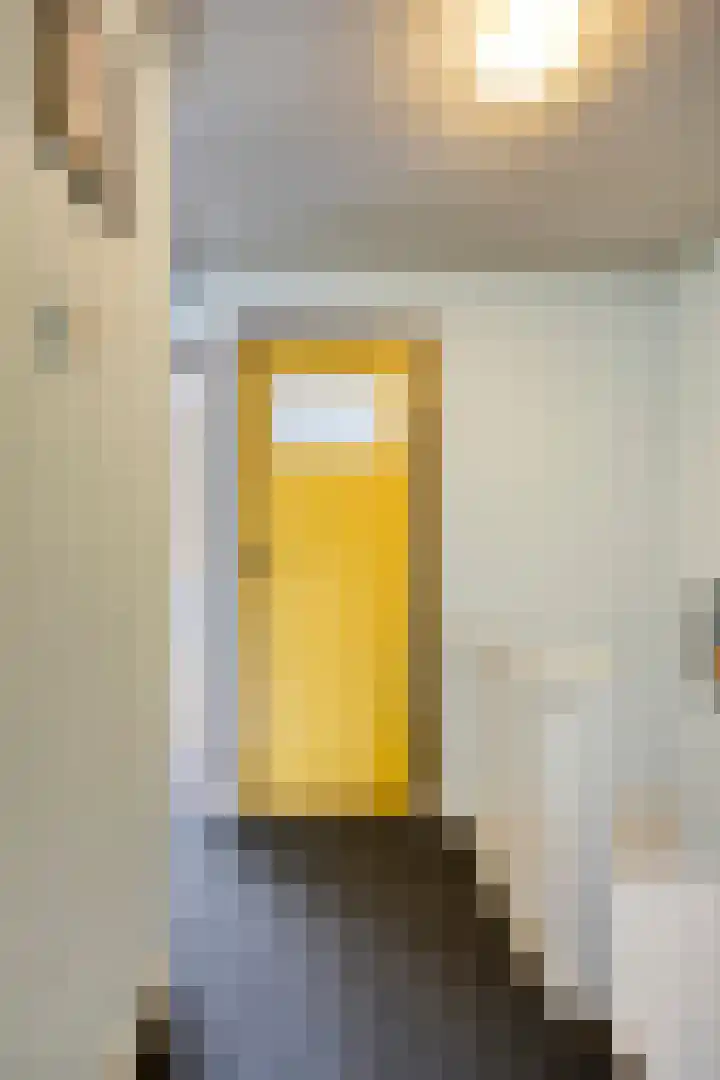 Bosjesweg 23 Sluiskil thumbnail 18