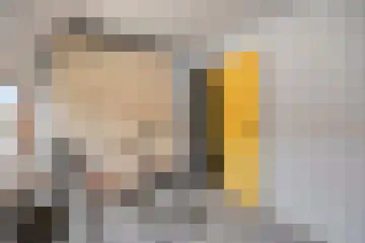 Bosjesweg 23 Sluiskil thumbnail 22