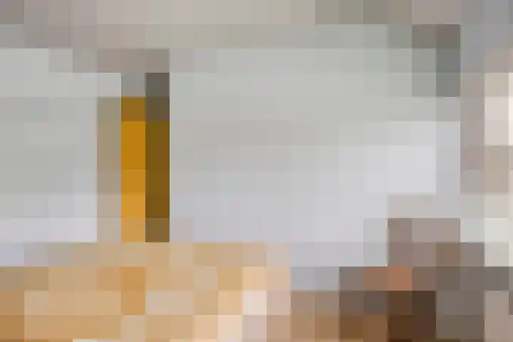 Bosjesweg 23 Sluiskil thumbnail 24