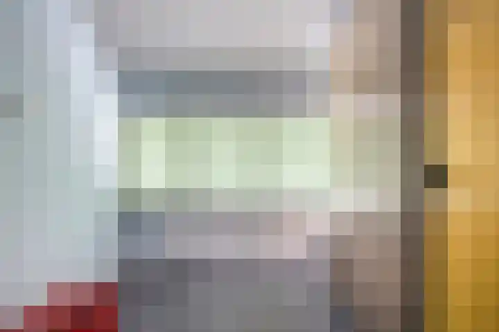 Bosjesweg 23 Sluiskil thumbnail 25