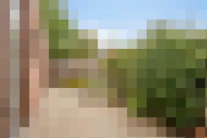 Bosjesweg 23 Sluiskil thumbnail 26