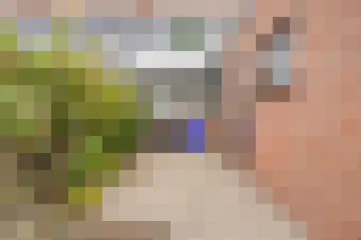 Bosjesweg 23 Sluiskil thumbnail 27
