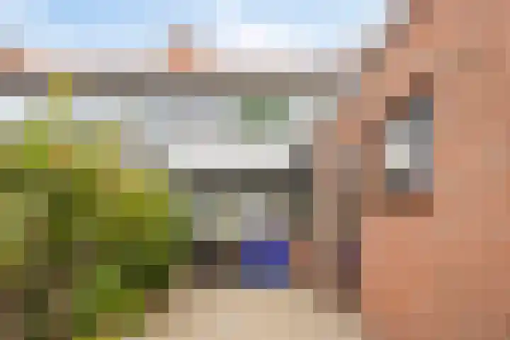Bosjesweg 23 Sluiskil thumbnail 28