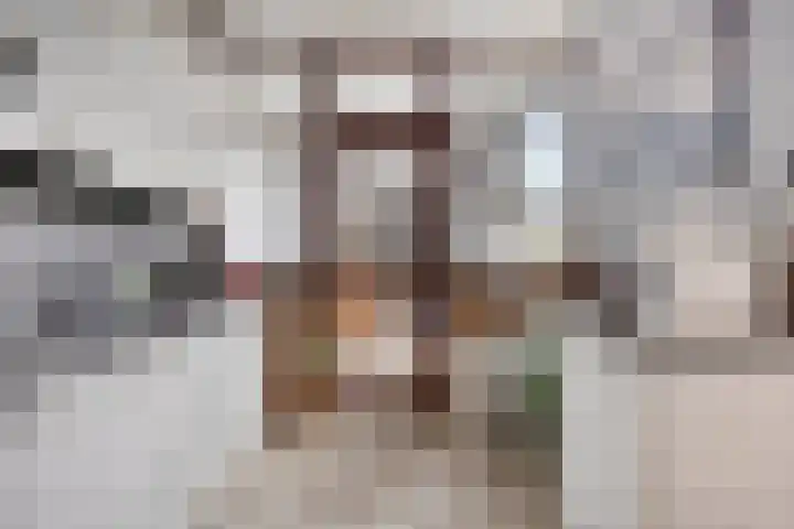 Bosjesweg 23 Sluiskil thumbnail 9
