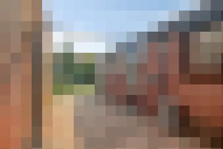 Bosjesweg 32 Sluiskil thumbnail 15