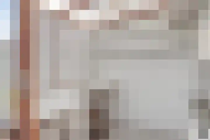 Bosjesweg 32 Sluiskil thumbnail 16