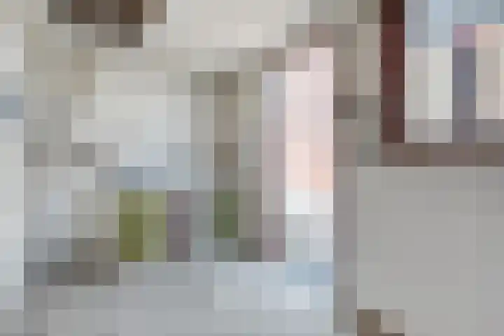 Bosjesweg 32 Sluiskil thumbnail 17
