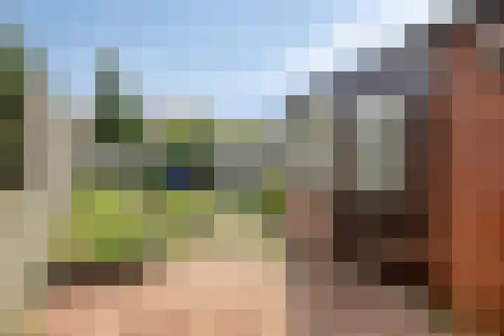 Bosjesweg 32 Sluiskil thumbnail 18