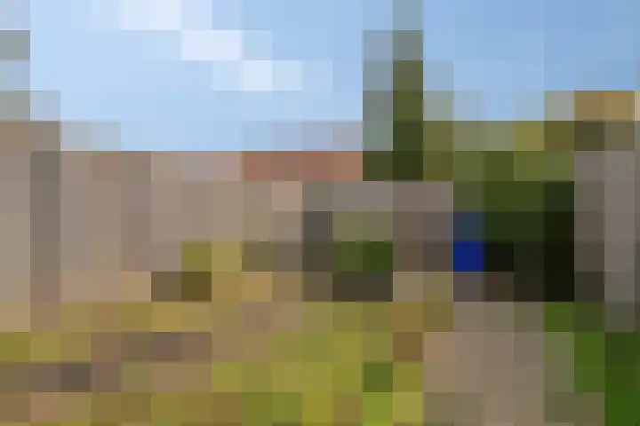 Bosjesweg 32 Sluiskil thumbnail 19