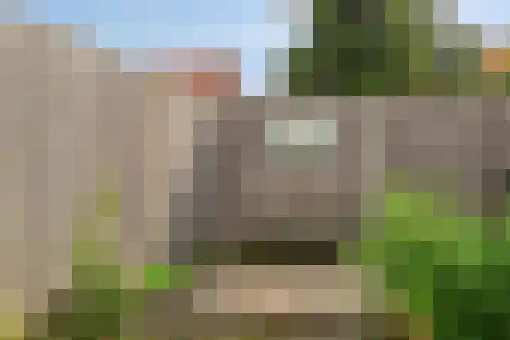 Bosjesweg 32 Sluiskil thumbnail 20