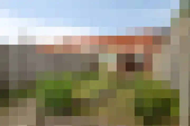 Bosjesweg 32 Sluiskil thumbnail 21