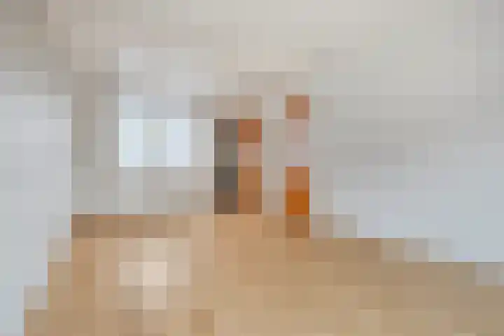 Bosjesweg 32 Sluiskil thumbnail 4