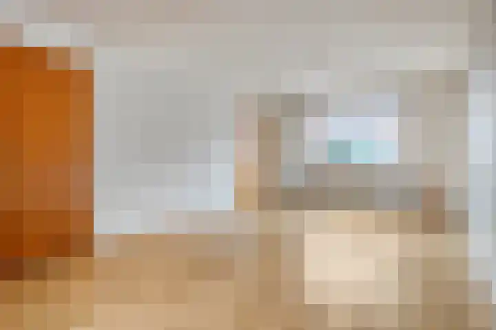 Bosjesweg 32 Sluiskil thumbnail 5