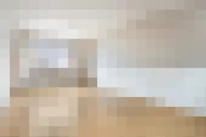 Bosjesweg 32 Sluiskil thumbnail 6