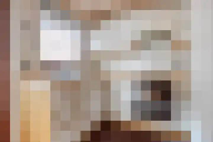 Bosjesweg 32 Sluiskil thumbnail 8