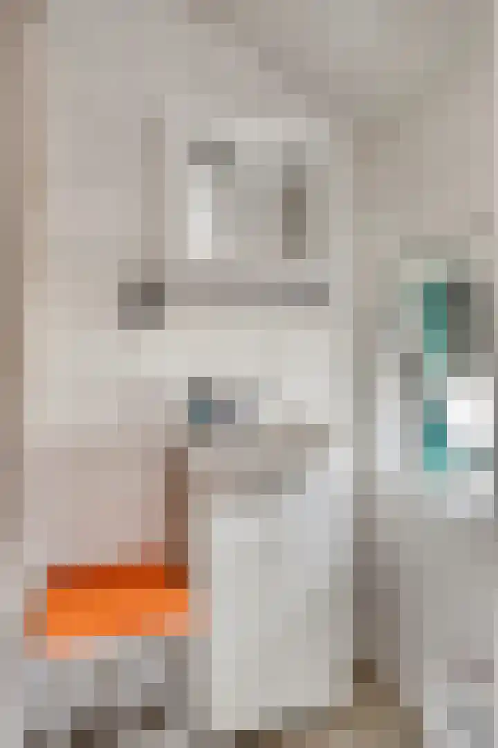 Bosjesweg 36 Sluiskil thumbnail 11