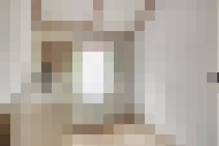 Bosjesweg 36 Sluiskil thumbnail 13