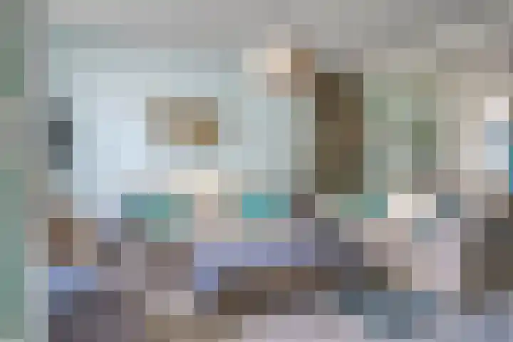 Bosjesweg 36 Sluiskil thumbnail 4