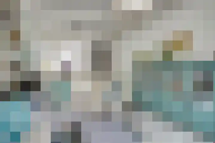 Bosjesweg 36 Sluiskil thumbnail 5