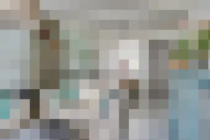 Bosjesweg 36 Sluiskil thumbnail 6