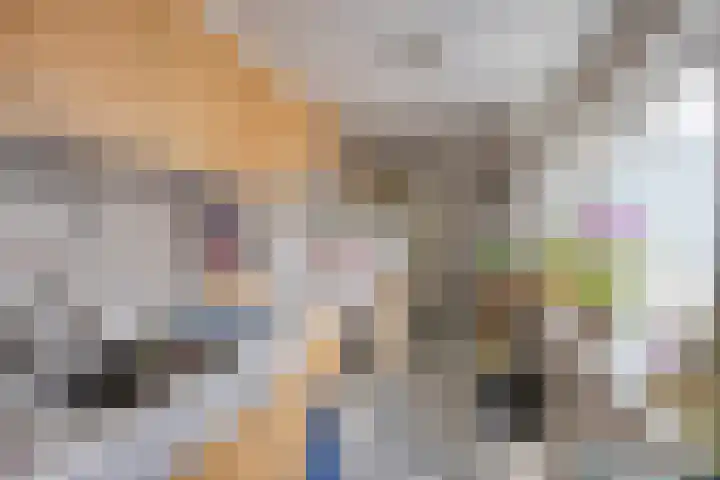 Bosjesweg 36 Sluiskil thumbnail 7