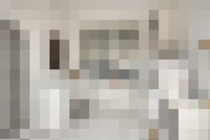 Bosjesweg 36 Sluiskil thumbnail 8